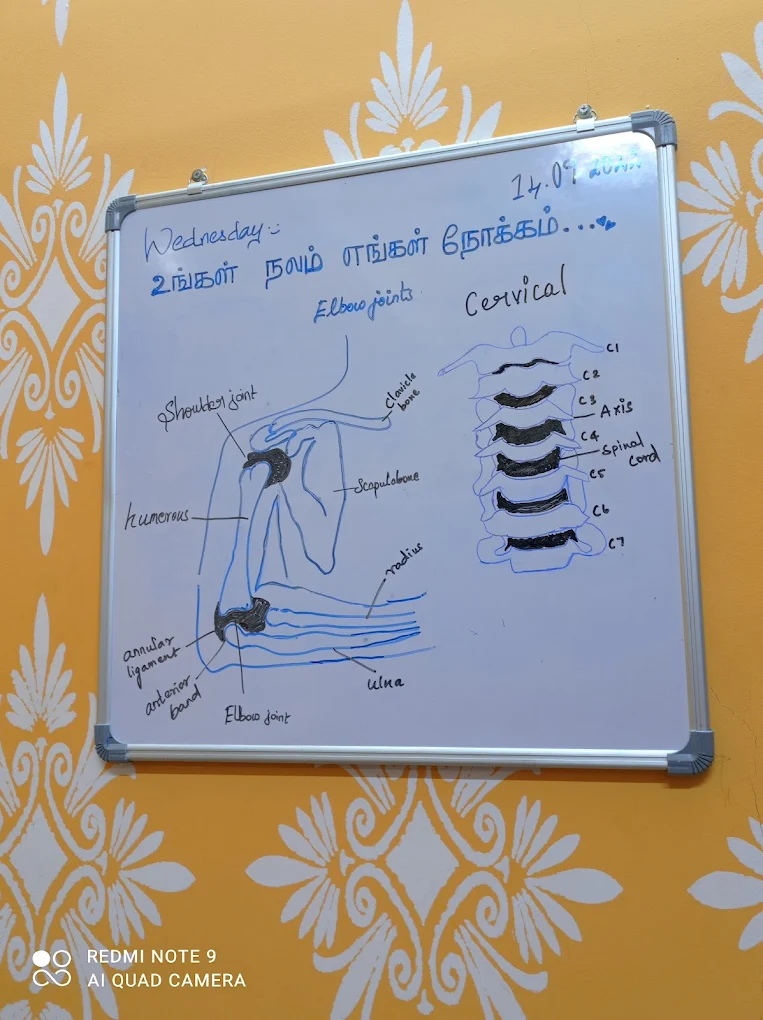 Neck Pain & Cervical Spondylosis
